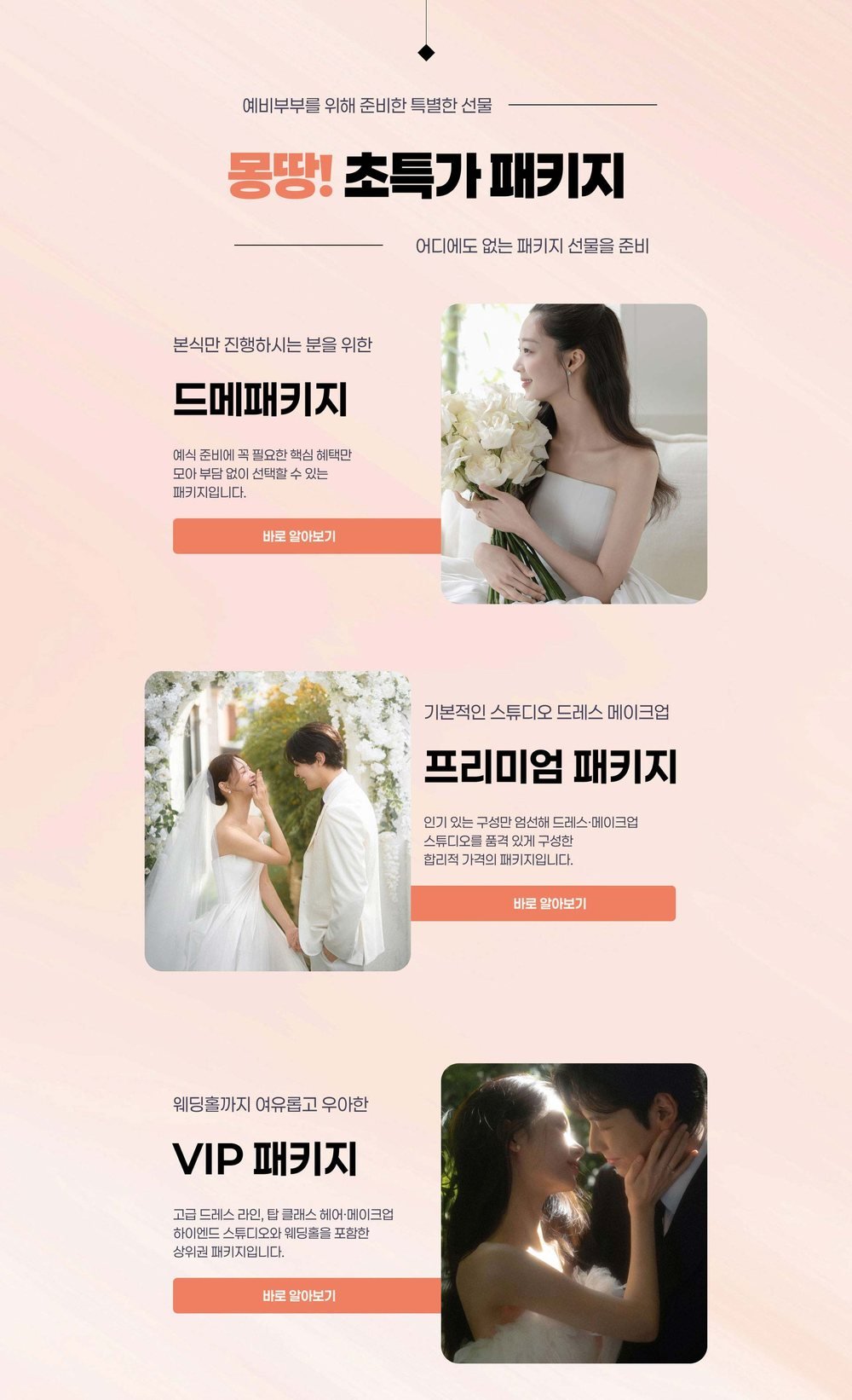 대구신세계 라모르 웨딩박람회 드메 패키지·프리미엄 패키지·VIP 패키지 구성 안내